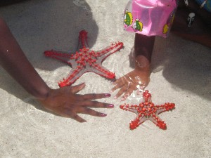 Lucy and Nuru stars at the beach