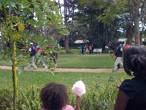 horse-track-Kenya